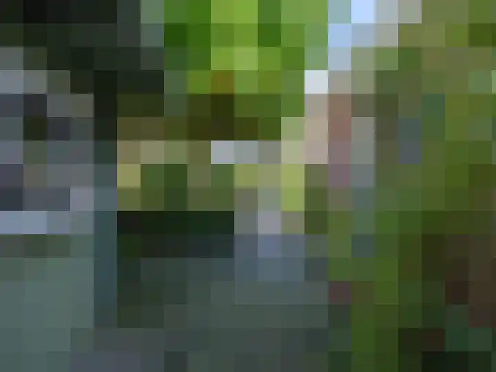 Wylgestrjitte 3 Lemmer thumbnail 57