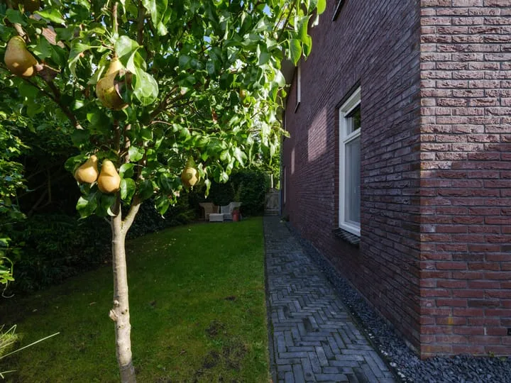 Wylgestrjitte 3 Lemmer thumbnail 60