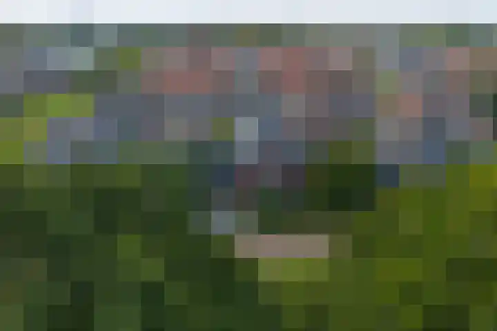 Wylgestrjitte 3 Lemmer thumbnail 62