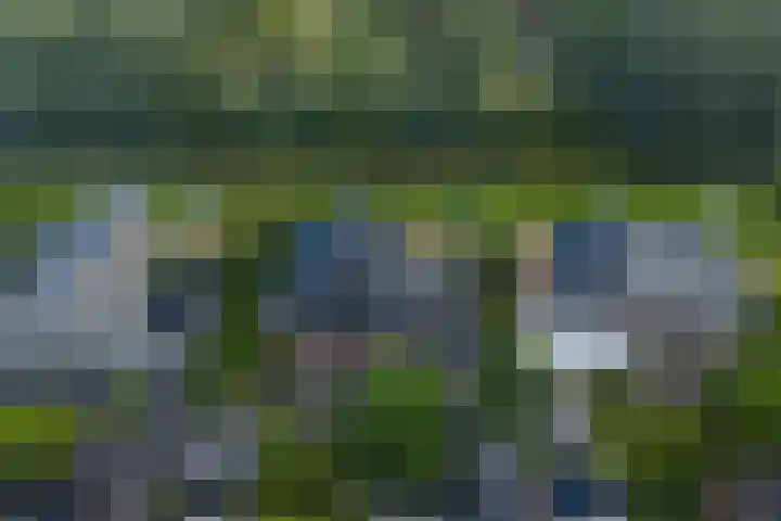Wylgestrjitte 3 Lemmer thumbnail 66