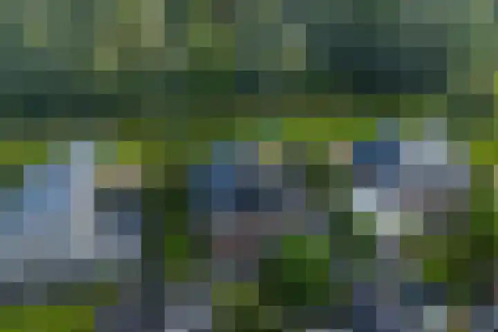 Wylgestrjitte 3 Lemmer thumbnail 67