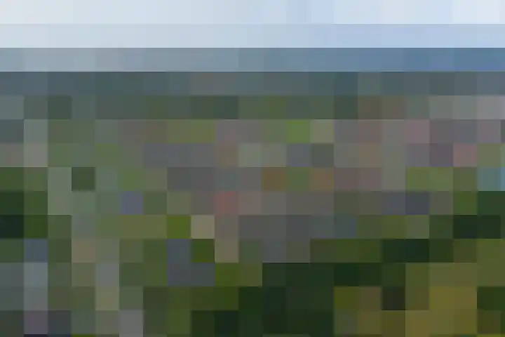 Wylgestrjitte 3 Lemmer thumbnail 69