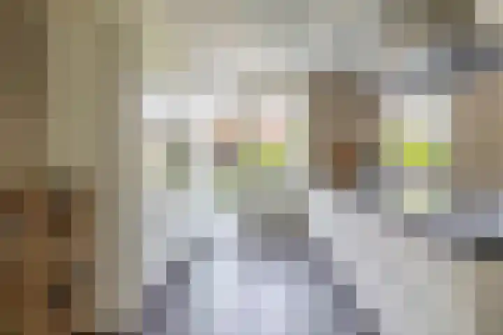 Wylgestrjitte 7 Lemmer thumbnail 11