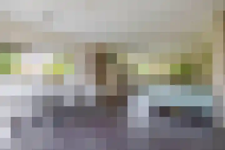 Wylgestrjitte 7 Lemmer thumbnail 16