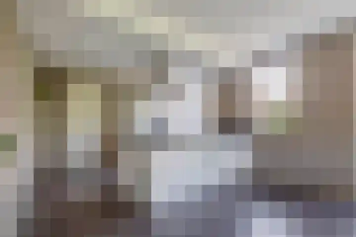 Wylgestrjitte 7 Lemmer thumbnail 22