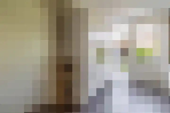 Wylgestrjitte 7 Lemmer thumbnail 23