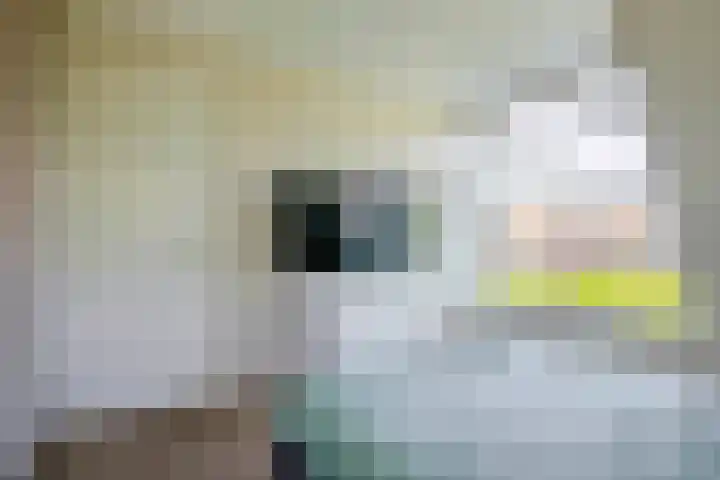 Wylgestrjitte 7 Lemmer thumbnail 31