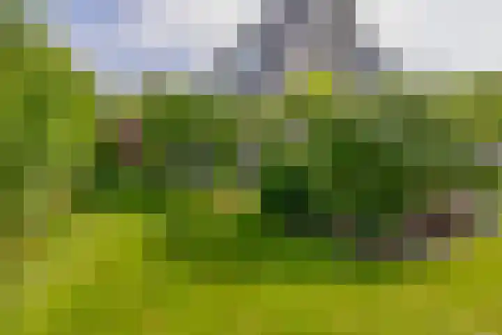 Wylgestrjitte 7 Lemmer thumbnail 42