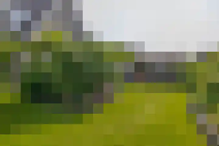 Wylgestrjitte 7 Lemmer thumbnail 43
