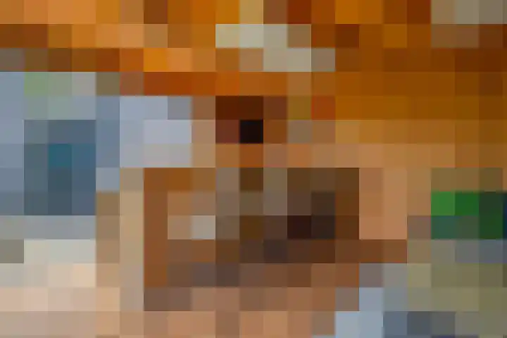 Wylgestrjitte 7 Lemmer thumbnail 53