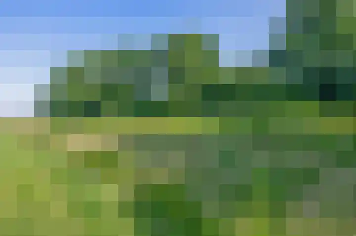 Wylgestrjitte 7 Lemmer thumbnail 60
