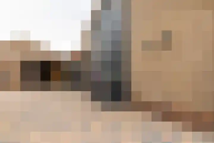 Wylgewei 4 Twijzelerheide thumbnail 10