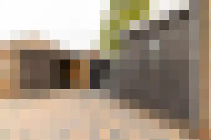 Wylgewei 4 Twijzelerheide thumbnail 11