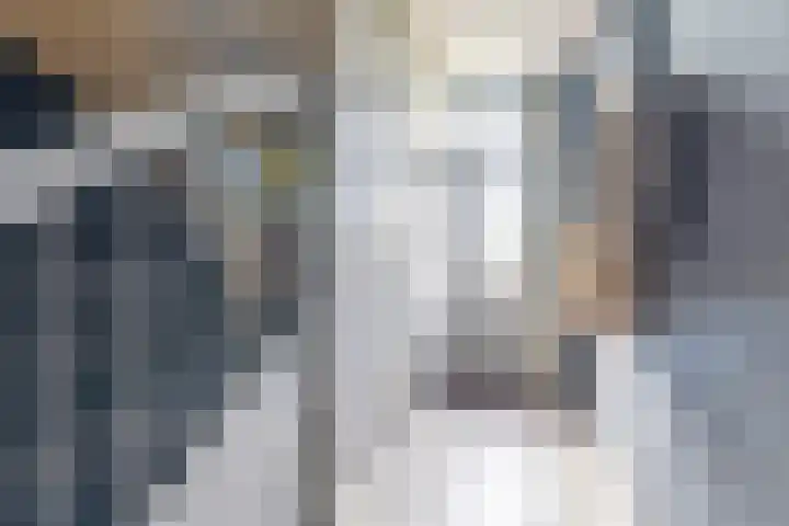 Wylgewei 4 Twijzelerheide thumbnail 12