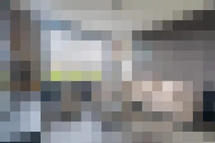 Wylgewei 4 Twijzelerheide thumbnail 16