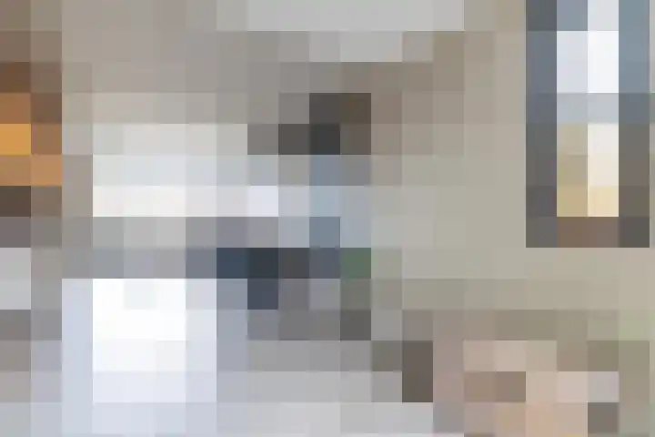 Wylgewei 4 Twijzelerheide thumbnail 19