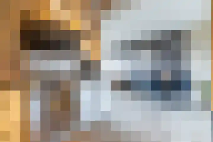 Wylgewei 4 Twijzelerheide thumbnail 24