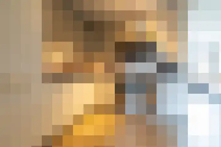Wylgewei 4 Twijzelerheide thumbnail 25
