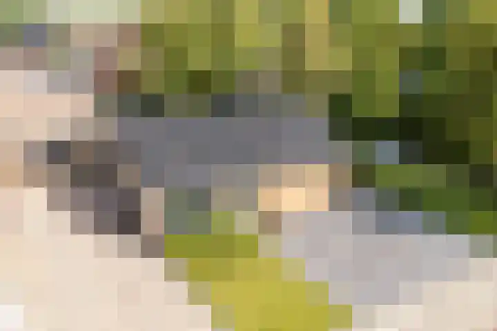 Wylgewei 4 Twijzelerheide foto 3