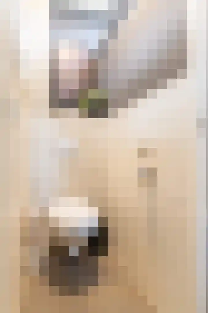 Wylgewei 4 Twijzelerheide thumbnail 36