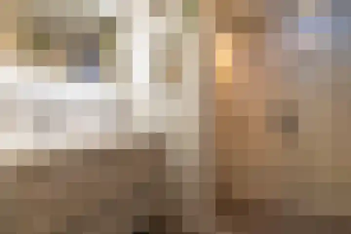 Wylgewei 4 Twijzelerheide thumbnail 37