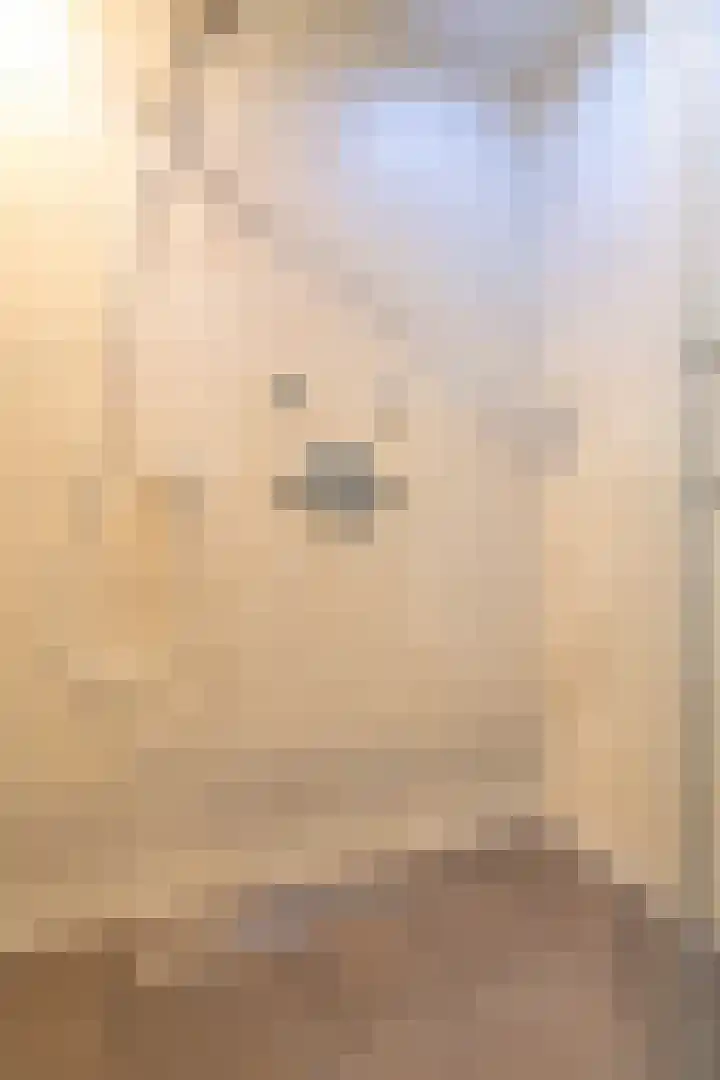 Wylgewei 4 Twijzelerheide thumbnail 40
