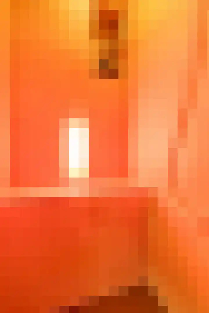 Wylgewei 4 Twijzelerheide thumbnail 42