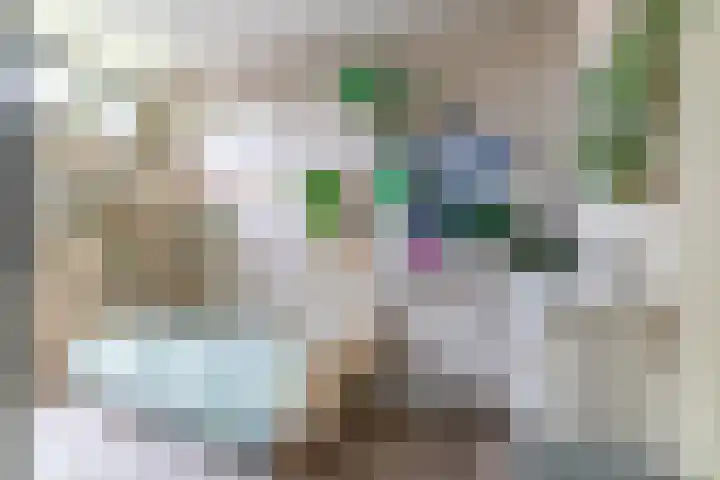 Wylgewei 4 Twijzelerheide thumbnail 43