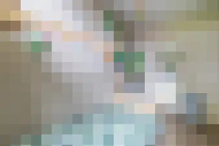 Wylgewei 4 Twijzelerheide thumbnail 44