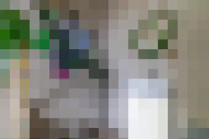 Wylgewei 4 Twijzelerheide thumbnail 46