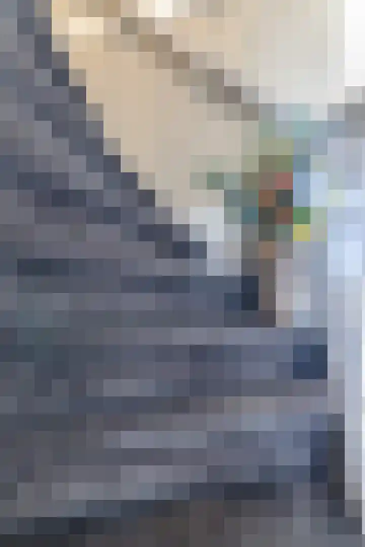 Wylgewei 4 Twijzelerheide thumbnail 47