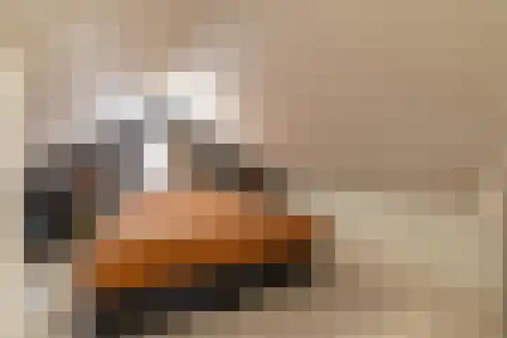 Wylgewei 4 Twijzelerheide thumbnail 48
