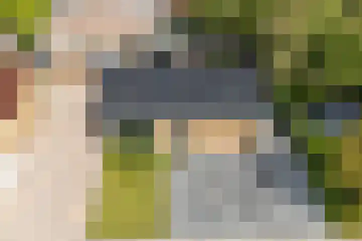 Wylgewei 4 Twijzelerheide thumbnail 5