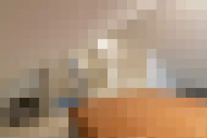 Wylgewei 4 Twijzelerheide thumbnail 50