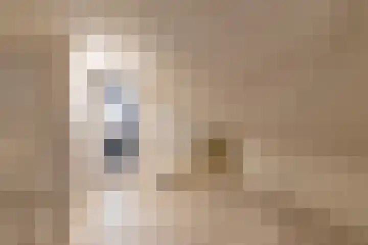 Wylgewei 4 Twijzelerheide thumbnail 52