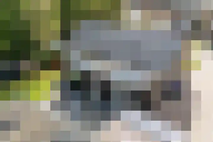 Wylgewei 4 Twijzelerheide thumbnail 58
