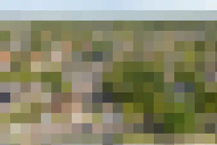 Wylgewei 4 Twijzelerheide thumbnail 6