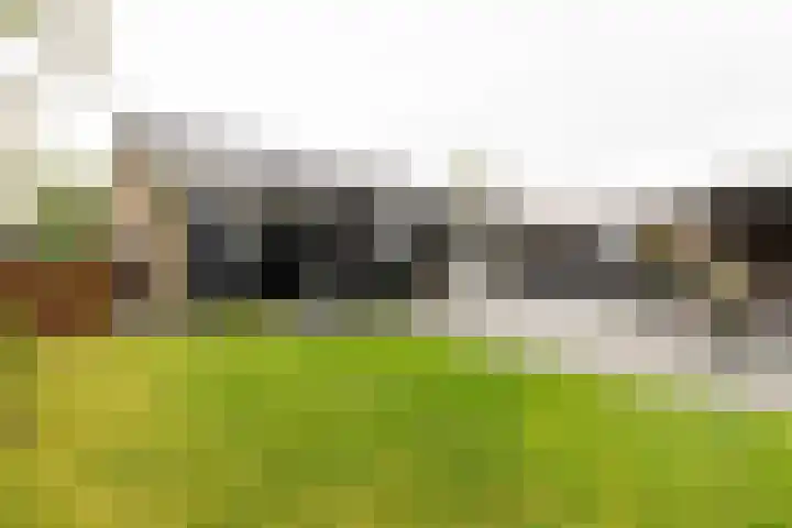 Wylgewei 4 Twijzelerheide thumbnail 60