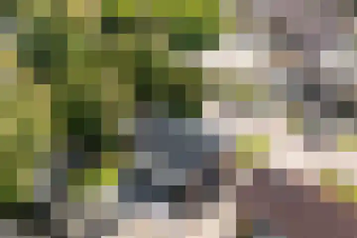 Wylgewei 4 Twijzelerheide thumbnail 61