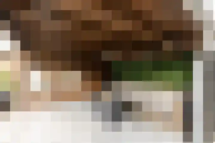 Wylgewei 4 Twijzelerheide thumbnail 64