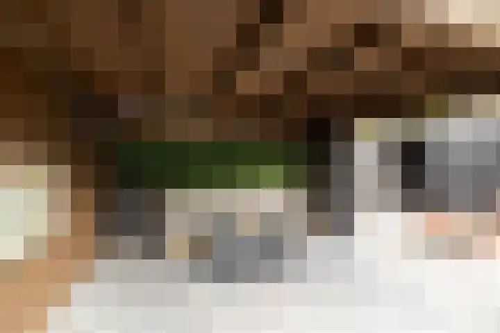 Wylgewei 4 Twijzelerheide thumbnail 65