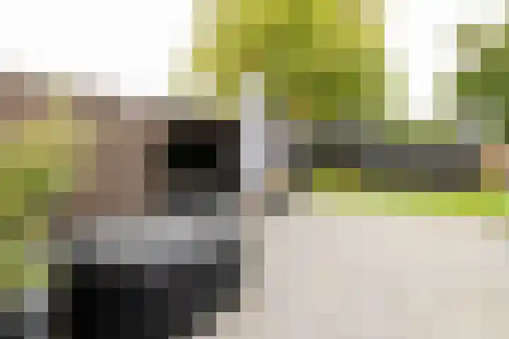 Wylgewei 4 Twijzelerheide thumbnail 66