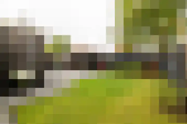 Wylgewei 4 Twijzelerheide thumbnail 67