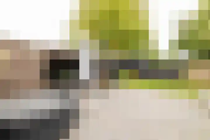 Wylgewei 4 Twijzelerheide thumbnail 69