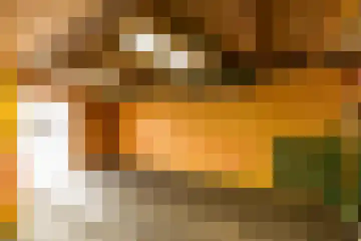 Wylgewei 4 Twijzelerheide thumbnail 70