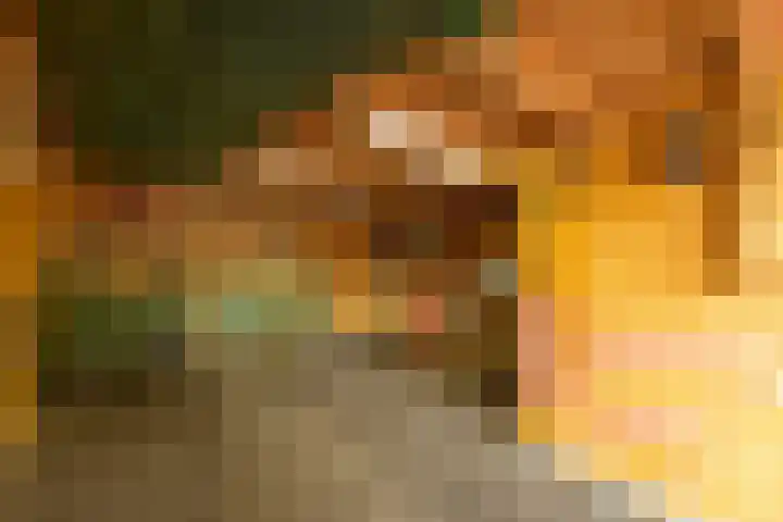 Wylgewei 4 Twijzelerheide thumbnail 71