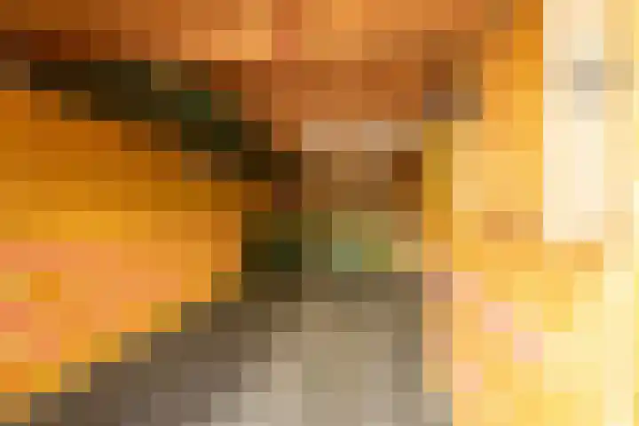 Wylgewei 4 Twijzelerheide thumbnail 72