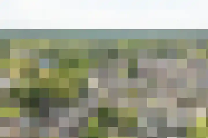 Wylgewei 4 Twijzelerheide thumbnail 73