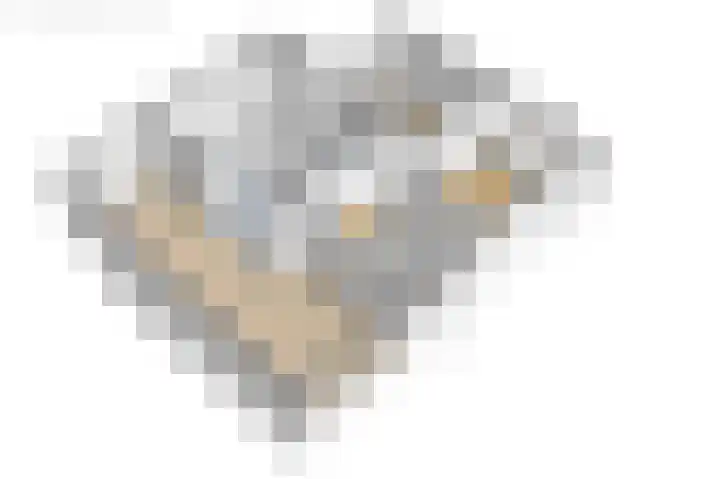 Wylgewei 4 Twijzelerheide thumbnail 77