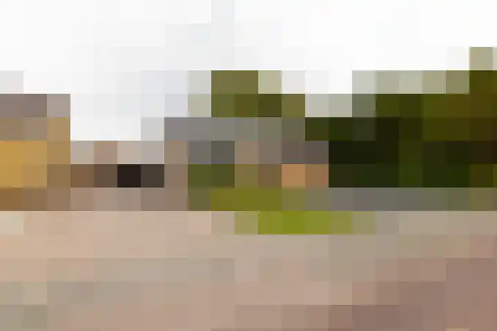 Wylgewei 4 Twijzelerheide thumbnail 9